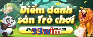 33wim