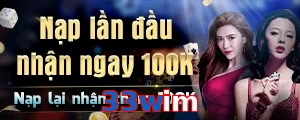 33wim