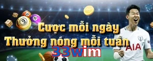 33wim